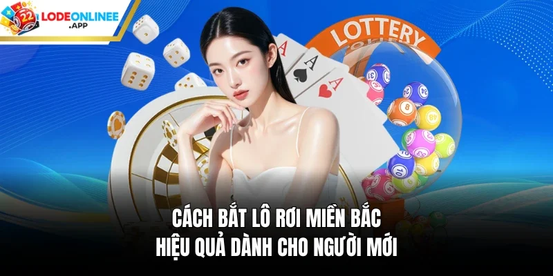 Cách Bắt Lô Rơi Miền Bắc Hiệu Quả Dành Cho Người Mới 