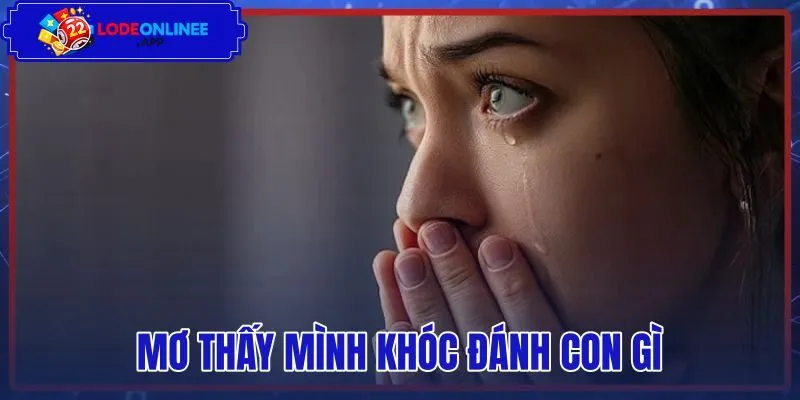 Mơ Thấy Mình Khóc Đánh Con Gì - Giải Mã Tâm Lý Và Sổ Mơ