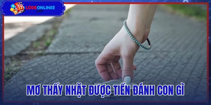 Mơ Thấy Nhặt Được Tiền Đánh Con Gì - Bảng Tra Cứu Chuẩn